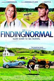 Finding Normal 2013
