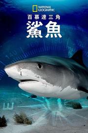 百慕大三角：鯊魚 2020