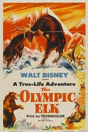 The Olympic Elk 1952