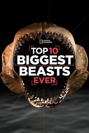 十大巨兽排行榜 2015