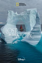 Lost In The Arctic 2023
