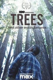 Trees, and Other Entanglements 2023