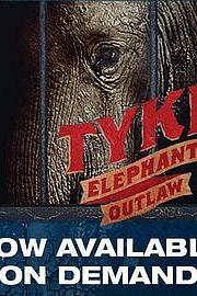 Tyke Elephant Outlaw 迅雷下载