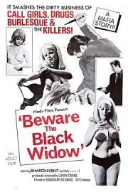 Beware the Black Widow 迅雷下载