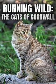 Running Wild: The Cats of Cornwall 2020