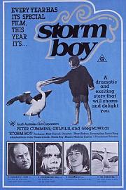 鹈鹕的故事 1977