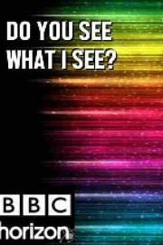 BBC 地平线系列: 你看到我所见了么 2011