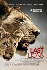 最后的狮子 (2011) 下载