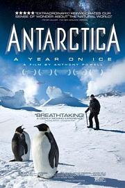 南极洲：冰上的一年 迅雷下载