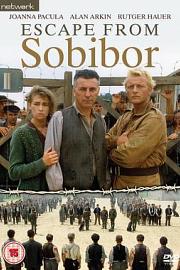 逃离索比堡 (1987) 下载