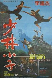 少林小子 (1984) 下载