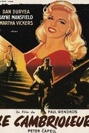 窃贼 (1957) 下载