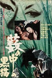 黑猫 (1968) 下载