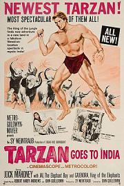 泰山去印度 (1962) 下载