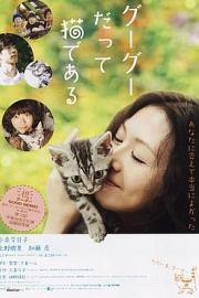 咕咕是一只猫 (2008) 下载