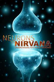 从神经元到极乐世界：伟大的药物 (2013) 下载