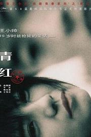 青红 (2005) 下载