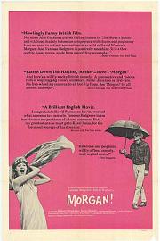 摩根 一件处理恰当的案件 1966