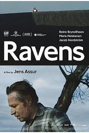 乌鸦 Ravens 2017