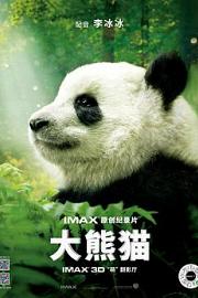 大熊猫 熊猫们 2018