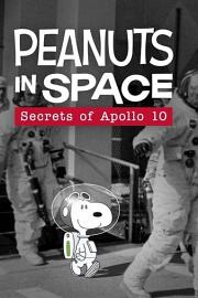 花生在太空：阿波罗十号的秘密 2019