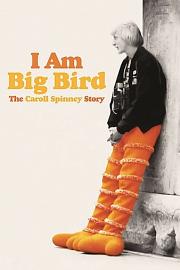 我是大鸟：卡洛尔·斯宾尼的故事 2014
