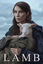 羊崽 2021