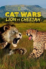 猫科大战：狮子VS猎豹 迅雷下载