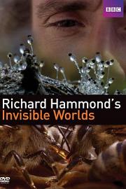 理查德·哈蒙德：看不见的世界 Richard Hammond's Invisible Worlds