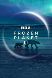 冰冻星球 Frozen Planet II