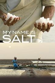 My.Name.Is.Salt.2013