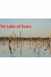 The Lake of Scars 迅雷下载