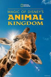 迪士尼动物王国 Magic of Disney's Animal Kingdom