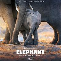 Elephant Soundtrack (by Ramin Djawadi)