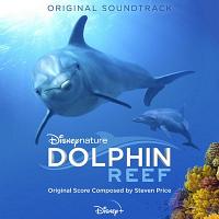 海豚礁 纪录片 原声音乐下载